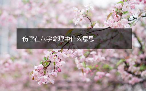 傷官在八字命理中什么意思