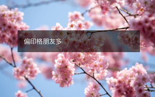 偏印格朋友多