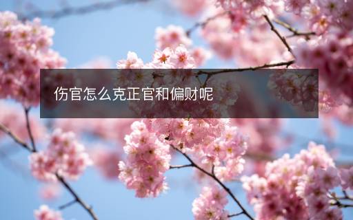 傷官怎么克正官和偏財(cái)呢