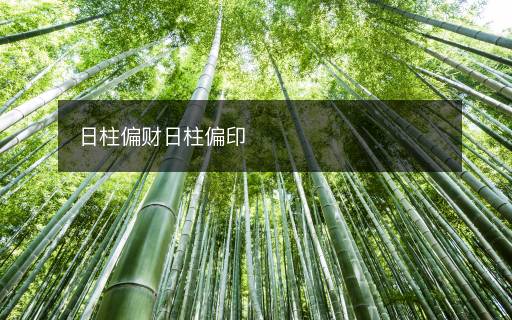日柱偏財(cái)日柱偏印