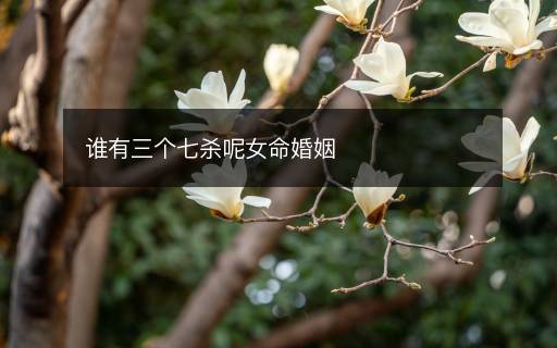 誰有三個(gè)七殺呢女命婚姻