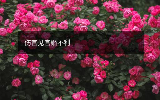 傷官見官婚不利