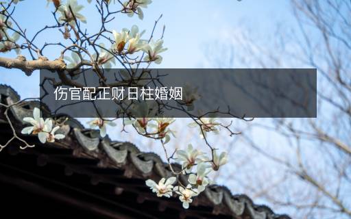 傷官配正財日柱婚姻