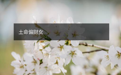 土命偏財(cái)女
