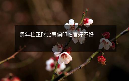 男年柱正財(cái)比肩偏印臨官好不好
