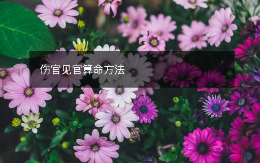 傷官見官算命方法