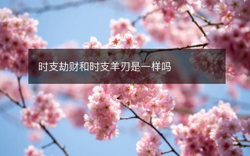 時支劫財和時支羊刃是一樣嗎
