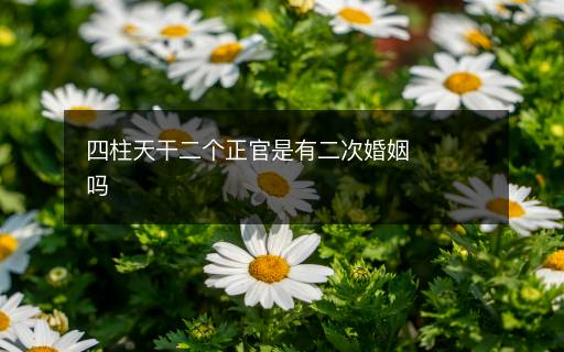 四柱天干二個正官是有二次婚姻嗎