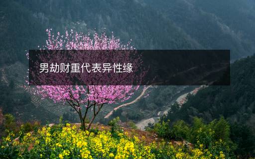 男劫財重代表異性緣