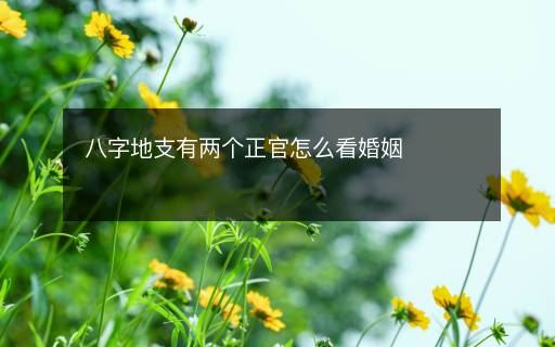 八字地支有兩個(gè)正官怎么看婚姻
