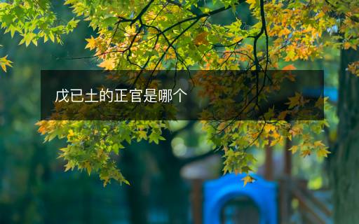 戊已土的正官是哪個