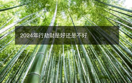 2024年行劫財是好還是不好