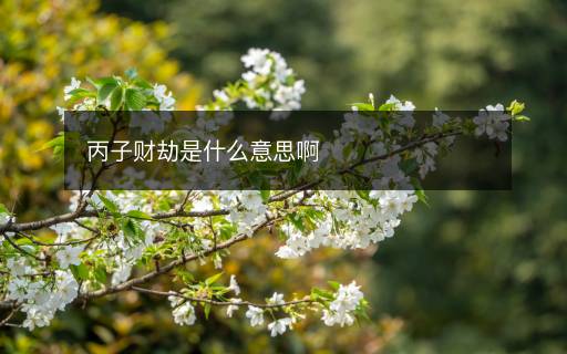 丙子財(cái)劫是什么意思啊