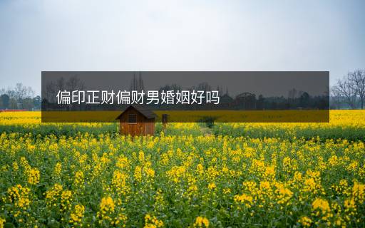 偏印正財(cái)偏財(cái)男婚姻好嗎