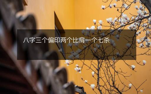 八字三個偏印兩個比肩一個七殺