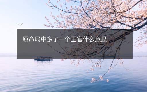 原命局中多了一個(gè)正官什么意思