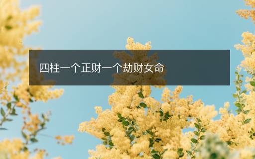 四柱一個(gè)正財(cái)一個(gè)劫財(cái)女命