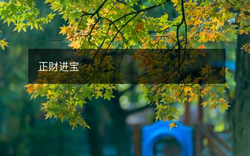 正財(cái)進(jìn)寶