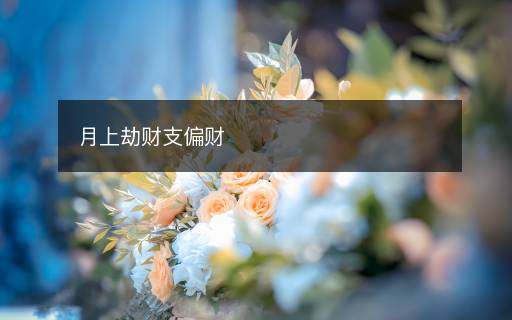 月上劫財支偏財