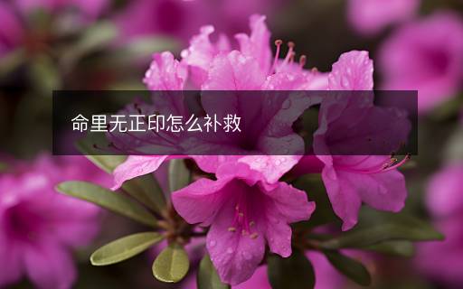 命里無(wú)正印怎么補(bǔ)救