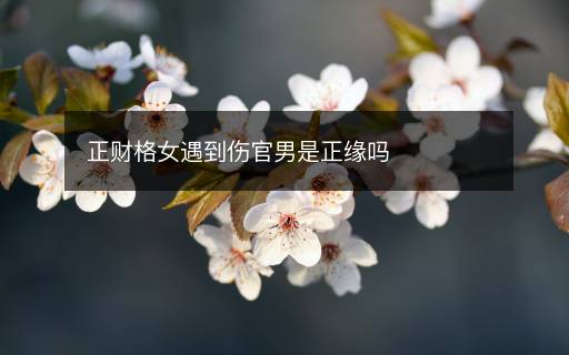 正財格女遇到傷官男是正緣嗎