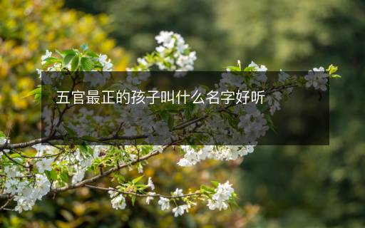 五官最正的孩子叫什么名字好聽