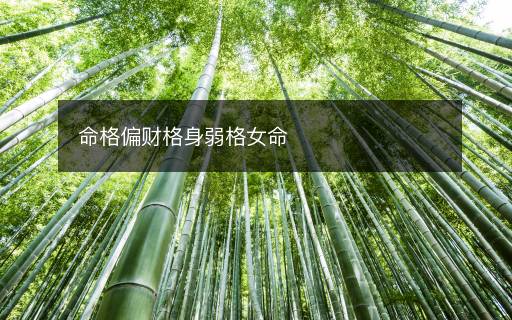 命格偏財格身弱格女命