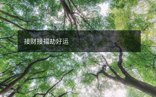 接財(cái)接福劫好運(yùn)