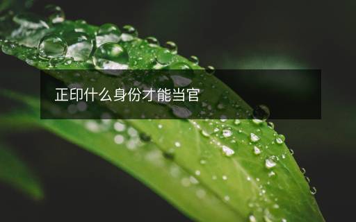 正印什么身份才能當(dāng)官