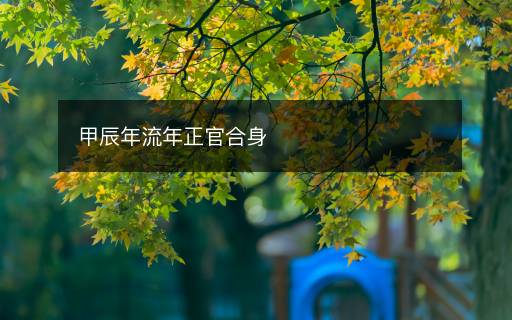 甲辰年流年正官合身