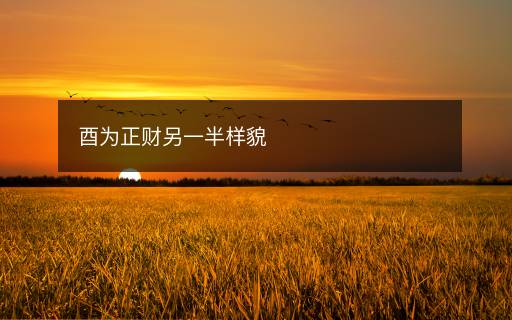 酉為正財另一半樣貌