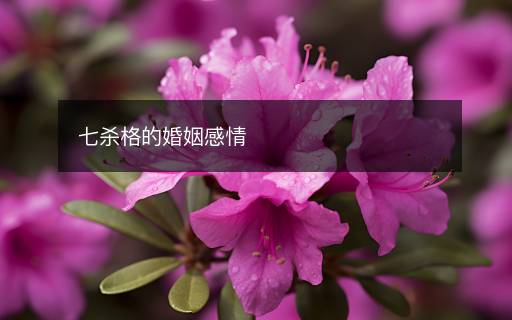 七殺格的婚姻感情