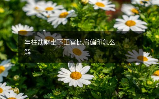 年柱劫財(cái)坐下正官比肩偏印怎么解