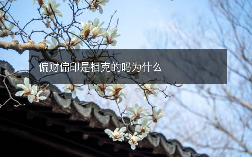偏財偏印是相克的嗎為什么