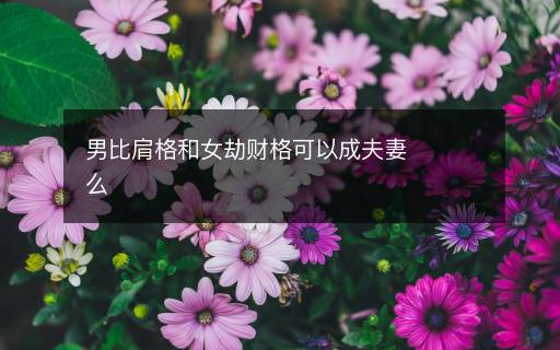 男比肩格和女劫財格可以成夫妻么