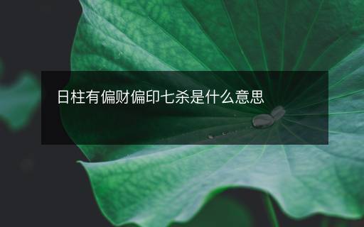 日柱有偏財(cái)偏印七殺是什么意思