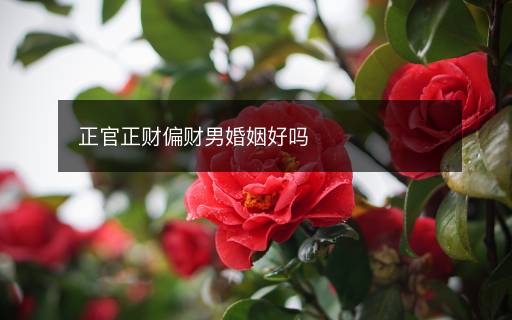 正官正財(cái)偏財(cái)男婚姻好嗎