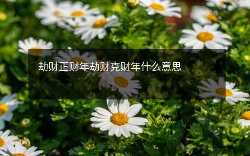 劫財正財年劫財克財年什么意思