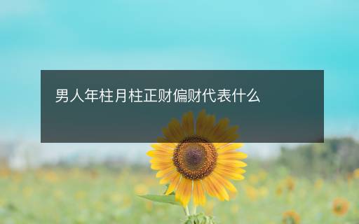 男人年柱月柱正財(cái)偏財(cái)代表什么
