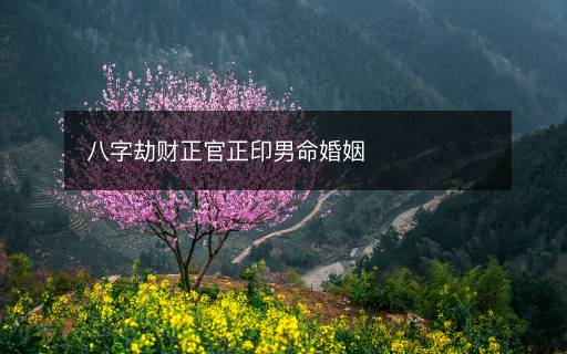 八字劫財(cái)正官正印男命婚姻