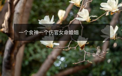 一個食神一個傷官女命婚姻