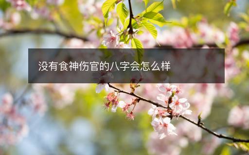 沒有食神傷官的八字會怎么樣