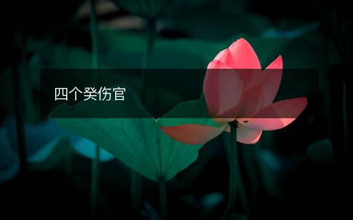 四個(gè)癸傷官