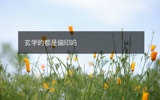 玄學(xué)的都是偏印嗎