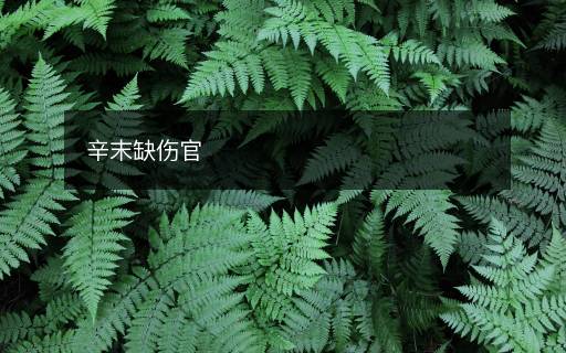 辛末缺傷官