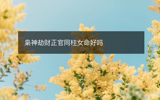 梟神劫財(cái)正官同柱女命好嗎