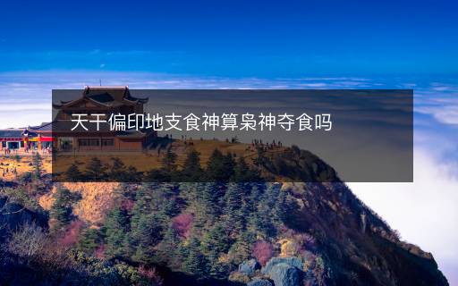天干偏印地支食神算梟神奪食嗎