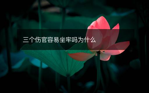 三個(gè)傷官容易坐牢嗎為什么