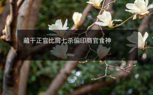 藏干正官比肩七殺偏印商官食神
