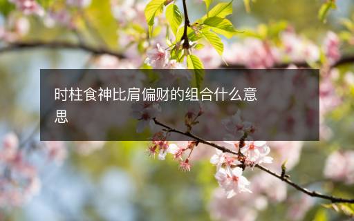 時(shí)柱食神比肩偏財(cái)?shù)慕M合什么意思